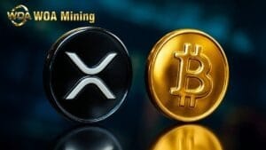 Latest News: BTC and XRP prices fluctuate dramatically. WOAMining helps holders earn 6,000 Dollars in daily returns. fbc Latest News: BTC and XRP prices fluctuate dramatically. WOAMining helps holders earn 6,000 Dollars in daily returns.
