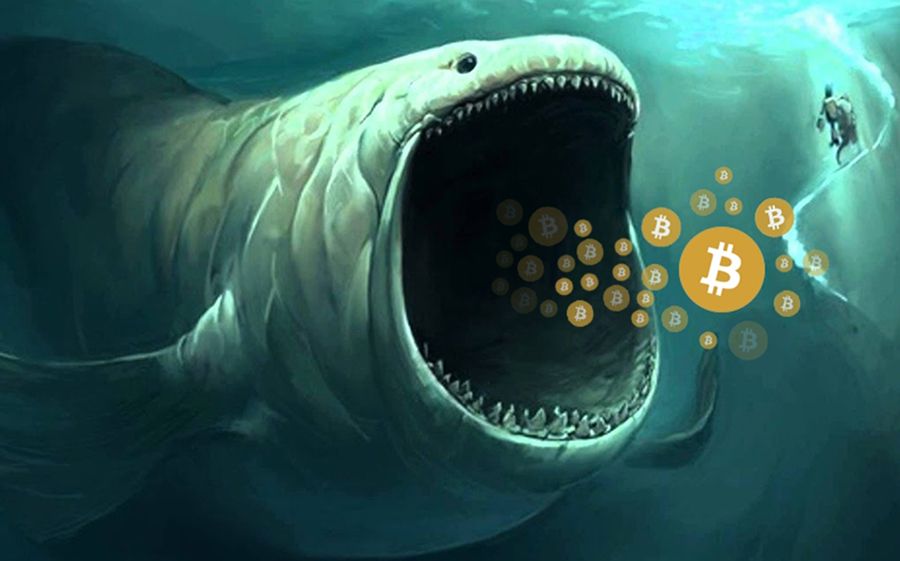 Bitcoin whales continue to accumulate amid all-time high