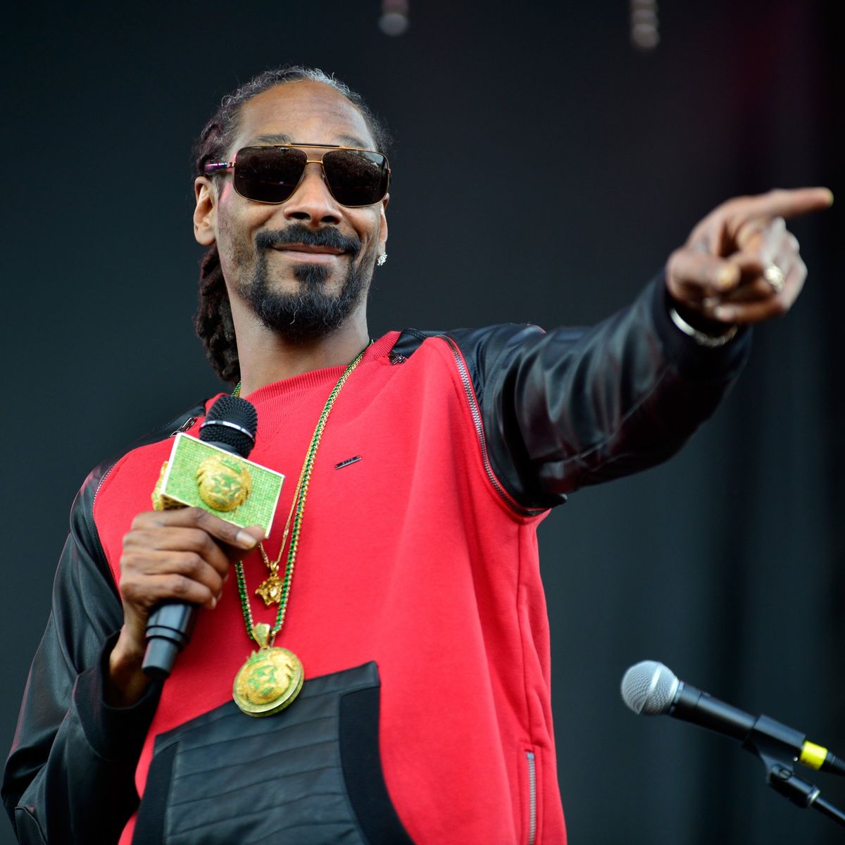 American rapper Snoop Dogg set to drop his first NFT