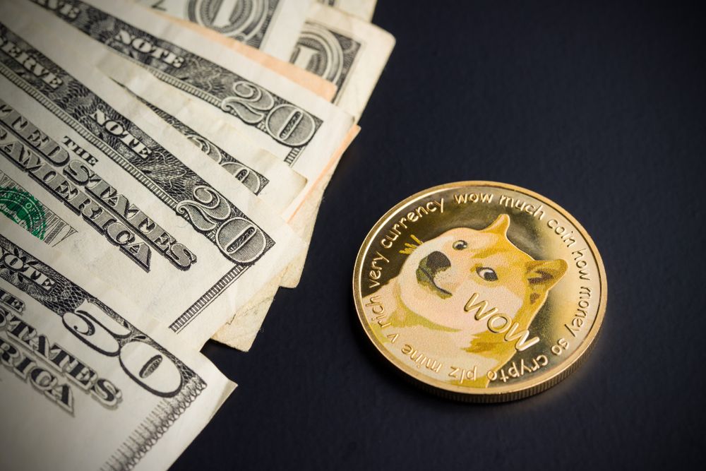 Rarestone Capital founder Charles Read on how DOGE changes the landscape of investments