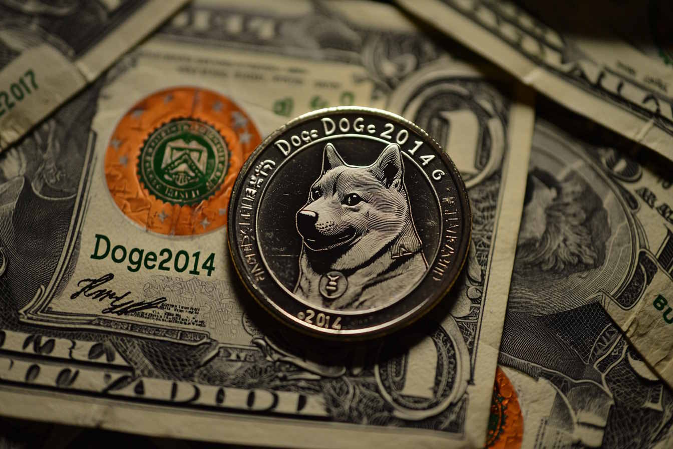 Doge2014 Ready for Liftoff! 50% of Total Supply Set to be Burned