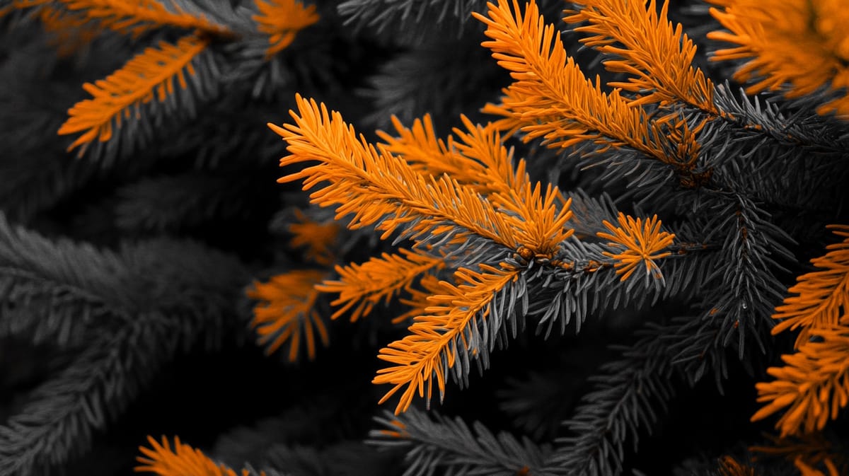Robinhood Acquires WonderFi for $179M to Expand Canadian Crypto Presence
