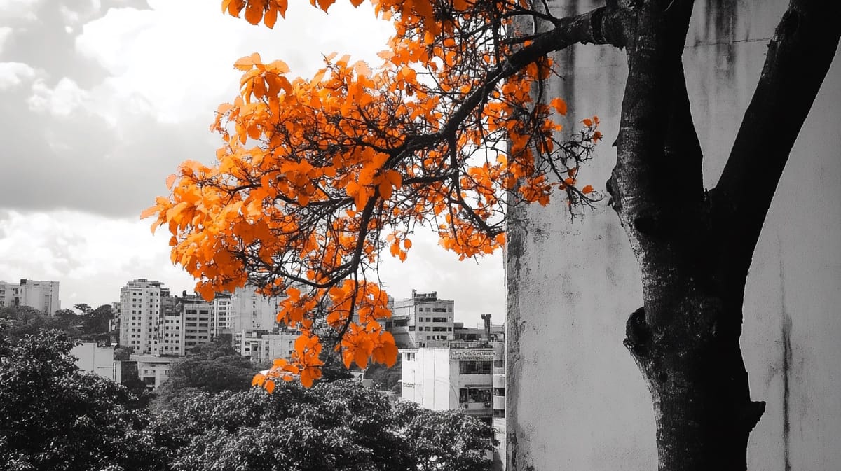 El Salvador Continues Bitcoin Accumulation Despite IMF Agreement