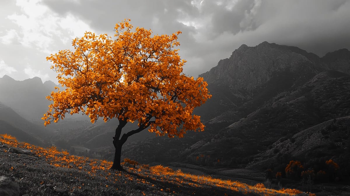 Strategy Acquires 705 Bitcoin For $75 Million As Corporate Adoption Accelerates