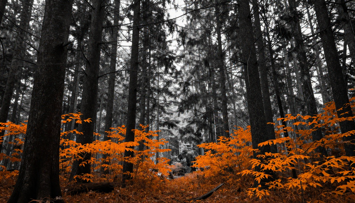 CryptoQuant Confirms Bitcoin Has Been in Bear Market Since November