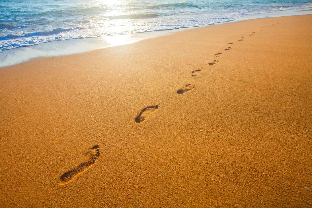 OpenSea rút lại bình luận IPO trước đó sau phản ứng dữ dội của cộng đồng - Tin Tức Bitcoin - Cập Nhật Tin Tức Coin Mới Nhất 24/7 2025 OpenSea rút lại bình luận IPO trước đó sau phản ứng dữ dội của cộng đồng