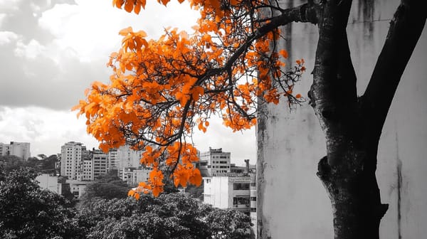 El Salvador Continues Bitcoin Accumulation Despite IMF Agreement