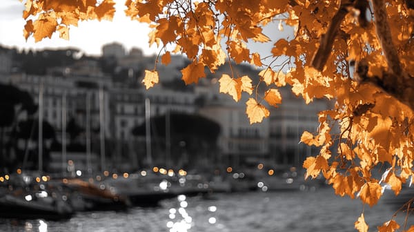 French Riviera City Cannes Leads Global Crypto Adoption with Ambitious 2025 Plan