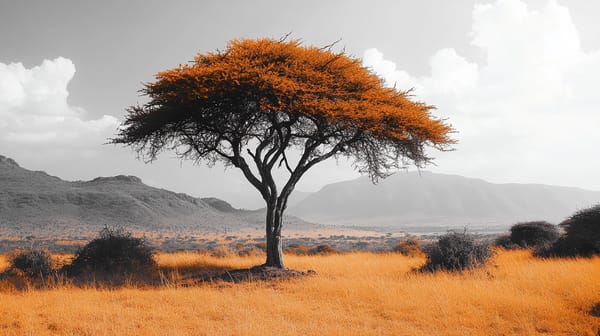 Kenyan Crypto Firms Voice VAC Board Appointment Concerns