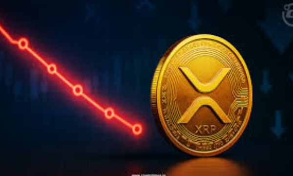 Top Cryptocurrency Cloud Mining Platforms 2025 – Simple Crypto Mining Opportunities