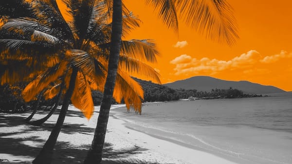 El Salvador Bitcoin Holdings Provide No Direct Benefits To Residents