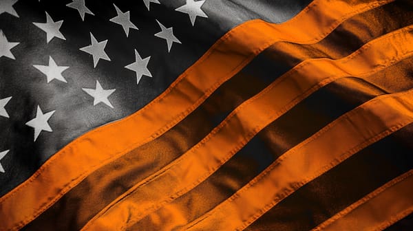 Musk's New Political Movement Embraces Bitcoin Over Traditional Money