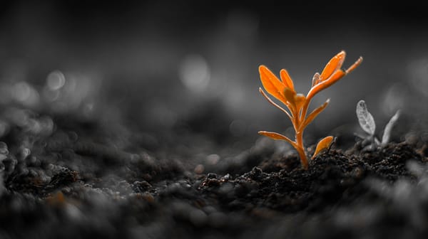 Satsuma Technology Secures $218 Million With $125 Million Settled in Bitcoin