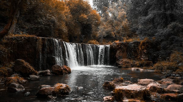 El Salvador Splits Bitcoin Holdings Into 14 New Wallets For Security Enhancement