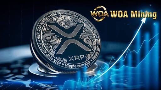 WOAMining Provides Access to Cloud Mining for Global Users