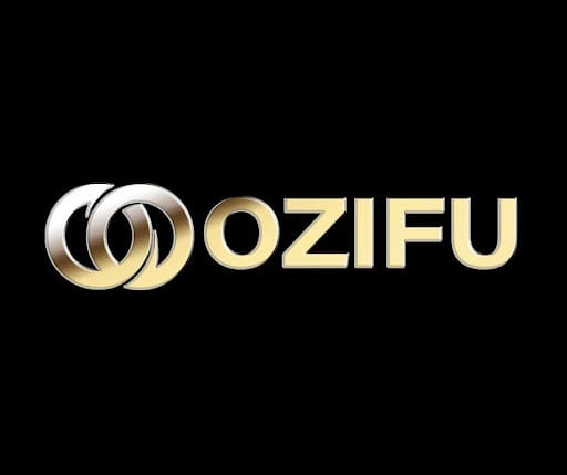 Ozifu Redefines Blockchain Infrastructure Investment: A New Era of Global Earning Opportunities