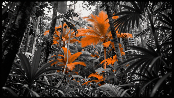 Clear Street Plans $10 Billion IPO as Bitcoin Treasury Strategy Faces Market Pressure